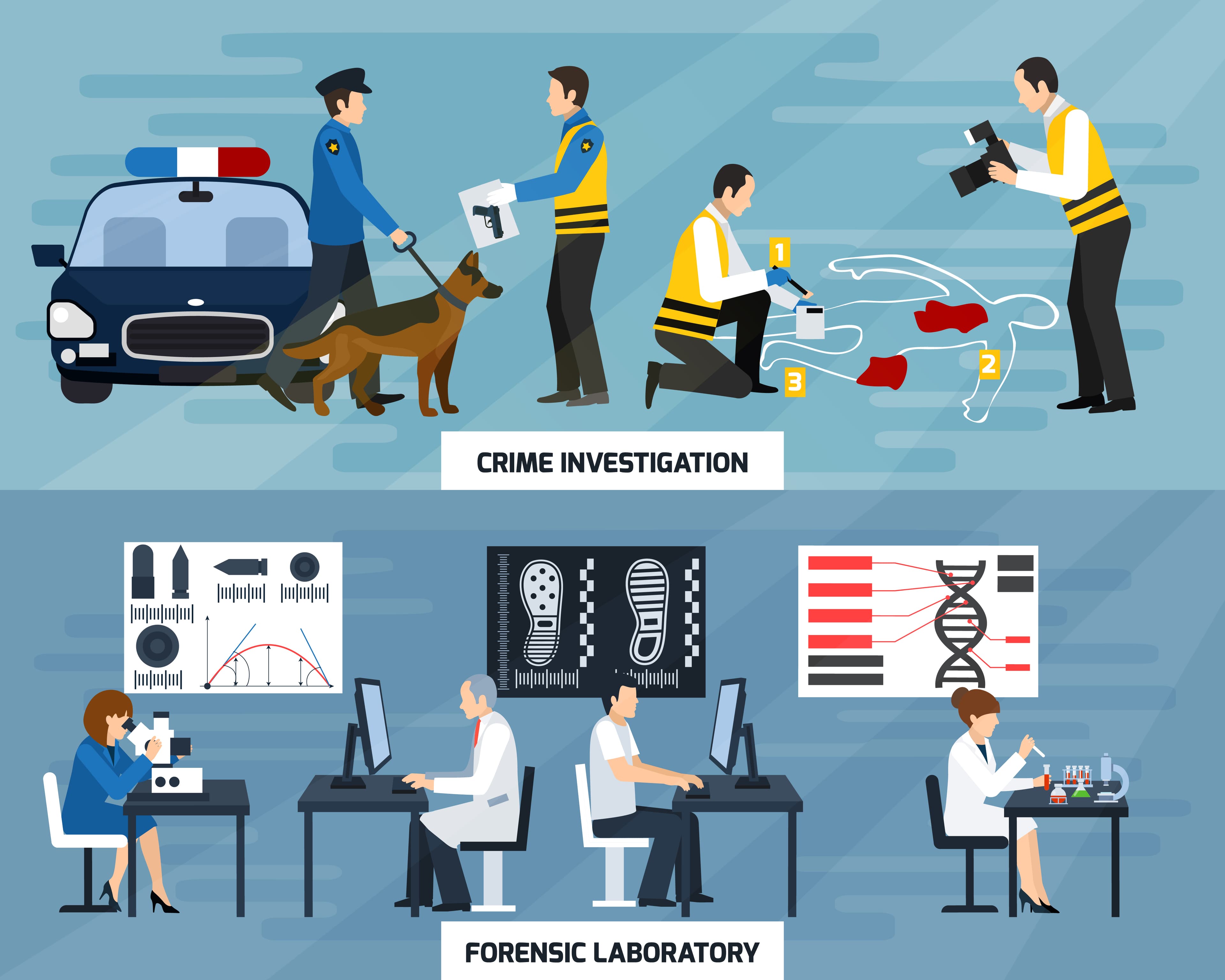 Crime Investigation Management System in the US